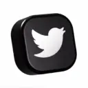 Кусочек Твиттера