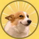 Собачата | Смешные собаки😂