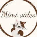 MIMI_VIDEO Животные - Смешные видео