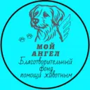 БФ»Мой Ангел»- помощь животным