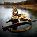 ОХОТА И РЫБАЛКА В РОССИИ