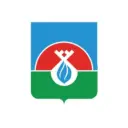 Надым и Надымский район