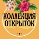 Коллекция открыток✨