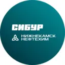 Нижнекамскнефтехим