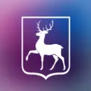 Правительство Нижегородской области