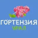 Гортензия Урал