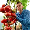 Помидорный рай с Борисом Сониным