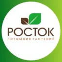 Питомник растений Росток. Саженцы