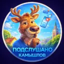 Подслушано Камышлов