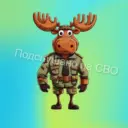 ПОДСЛУШАНО НА СВО