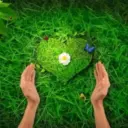 Здоровье от природы - Травы лечебные, Фитотерапия, лекарственные растения, ЗОЖ