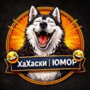 ХаХаски | ЮМОР