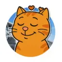 Отдыхаем по-саратовски