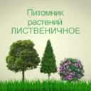 Питомник ЛИСТВЕНИЧНОЕ