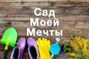 Сад моей мечты. Дача, огород, советы.