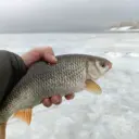 Душевная рыбалка