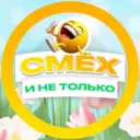 СМЕХ и не только