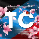 ТИПИЧНОЕ СНЕЖНОЕ Official🇷🇺