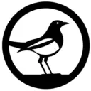 СОРОКА — Новости Ярославля и области