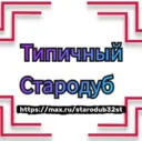 Типичный Стародуб