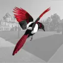 Тихвинская сорока ✔️