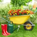 САД | ОГОРОД | ДАЧА