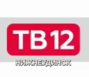 ТВ12 Нижнеудинск