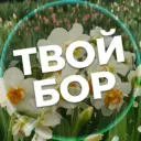 Твой Бор | tvoy-bor.ru