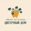 🪴 Цветочный дом • Комнатные растения