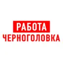 Работа в Черноголовке