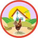 Вдали от города (сад, огород, дача)