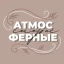 АТМОСФЕРНЫЕ СТОРИС