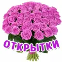 Поздравления и открытки