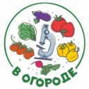 В Огороде