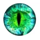 Секреты планеты