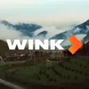 Онлайн-кинотеатр Wink