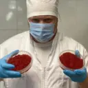 От Горячева