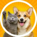 Забавные животные