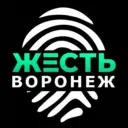 Жесть Воронеж