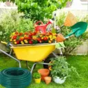 Дача 🏠 сад 👨‍🌾 Огород🌶