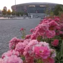 Донецкая группа новостей