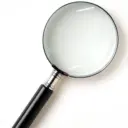 Играем в данетки онлайн