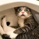 Смешные видосы 🤣